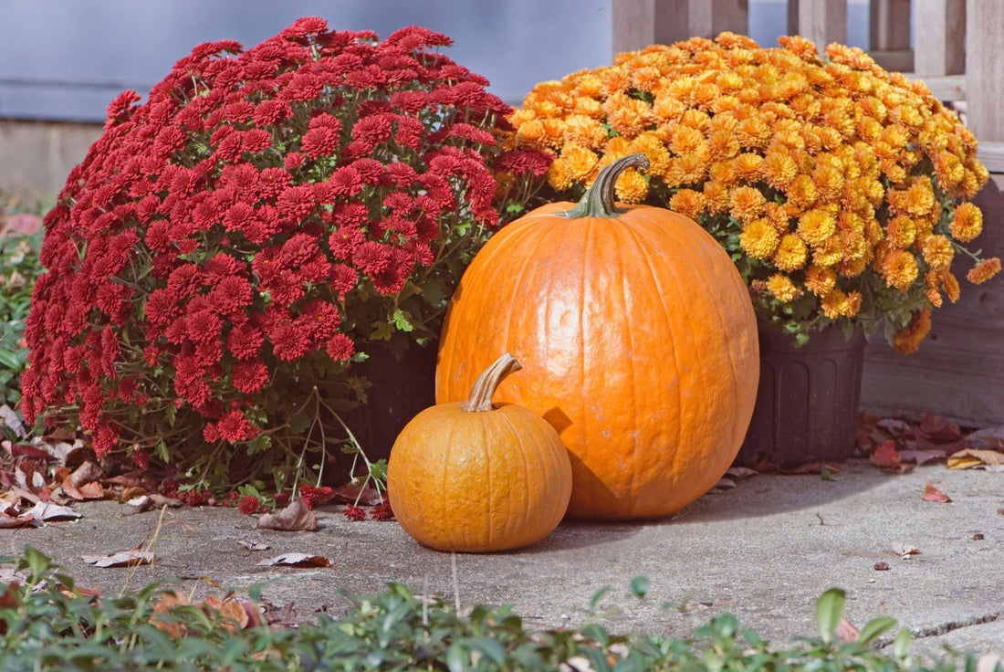 A reflection on inclusion, kindness, and the ways we create belonging