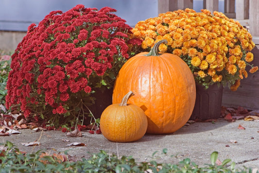 A reflection on inclusion, kindness, and the ways we create belonging