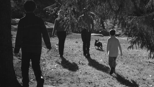 A Season for Gratitude and Connection