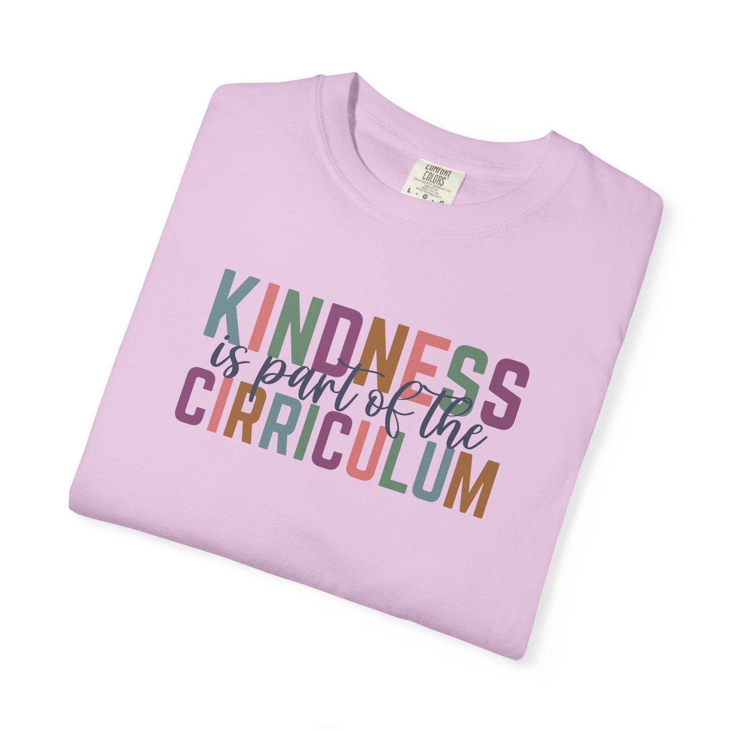 Kindness Is Part of the Curriculum Shirt | Kindness Classroom T-Shirt